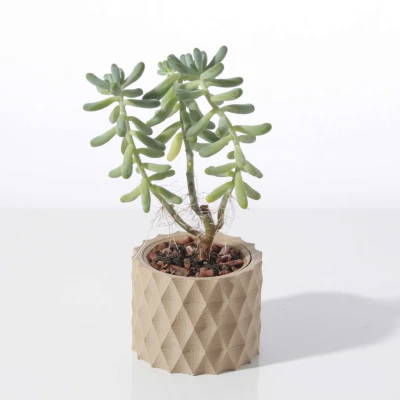 Chậu cây mọng nước hình học hiện đại