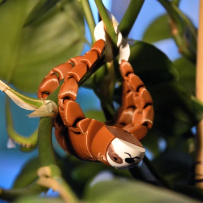 Lười Flexi - Móng Vuốt Móc Câu Để Treo!