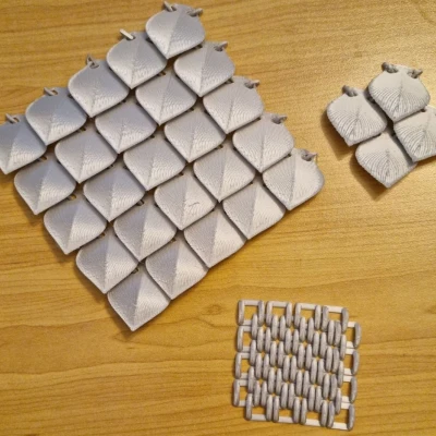 Vảy rồng dạng lưới xích