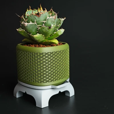 Chậu Bonsai Kumiko Superellipse có Chân đế