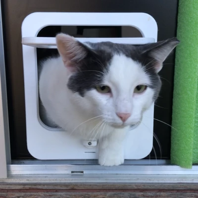 Cửa cho Thú Cưng có Khóa 4 Chiều & Tự Đóng Bằng Nam Châm V2