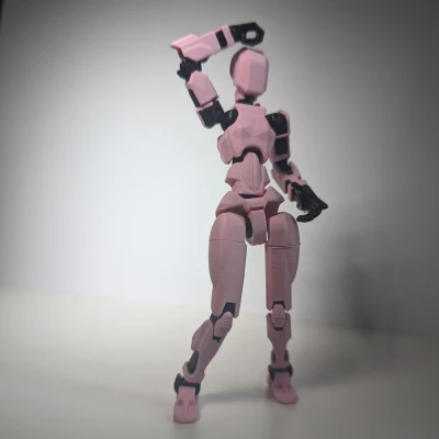 Dummy 13 Type-F - Mô hình 3D Nữ Tính