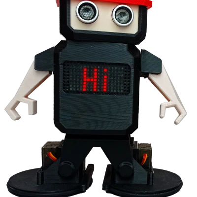 Robot Otto Ninja Humanoid