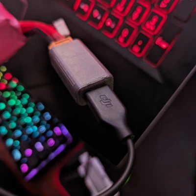 XT60 sang USB C (Kính FPV DJI và các loại khác)