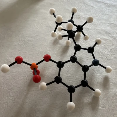 Mô hình Bóng và Que (không có hỗ trợ)