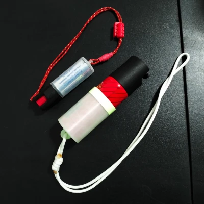 ⚠️ CHƯA DỊCH: Pepper spray case
