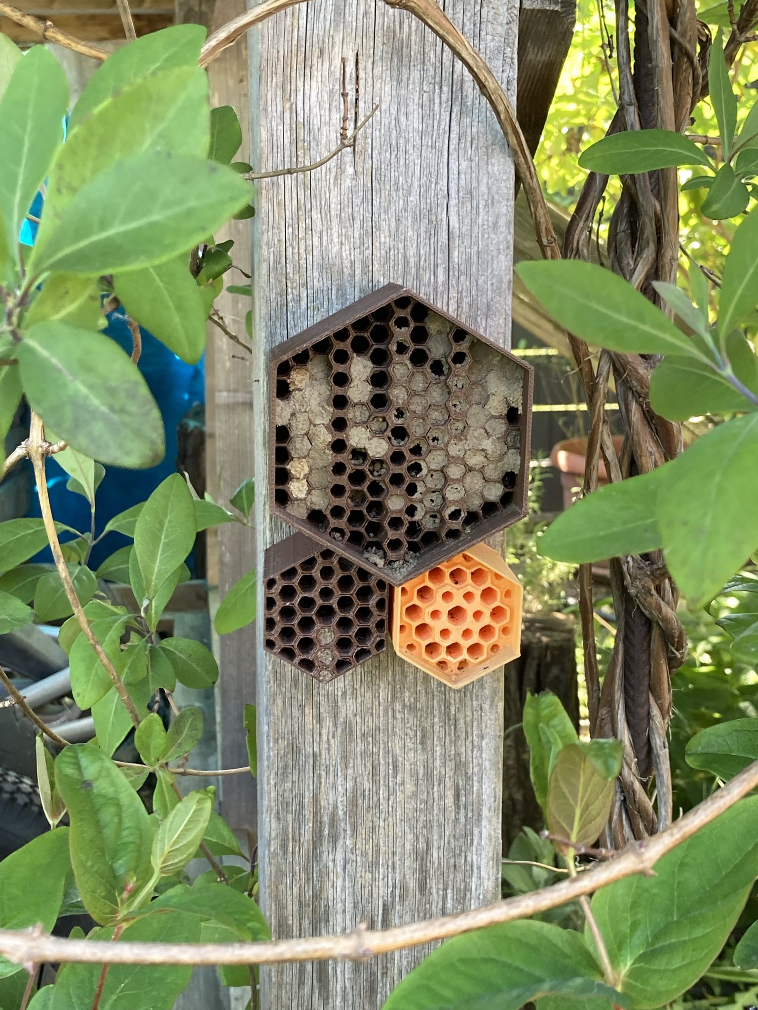 Khách sạn Ong Tự Làm Hình Lục Giác