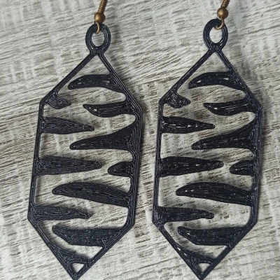 Bông tai Vằn Ngựa