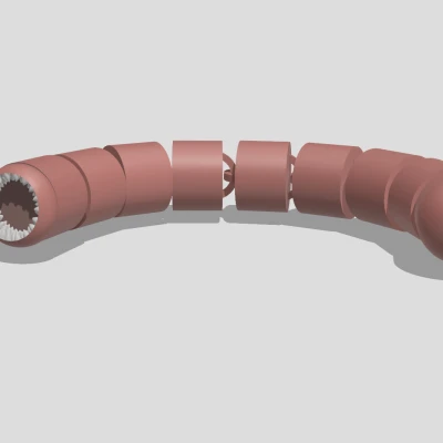 Giun Máu Khớp Nối