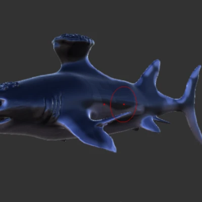 Stethacanthus - Cá mập kỷ Carboniferous có vây hình cái đe