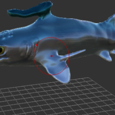 Mô hình Falcatus - Cá sụn kỷ Than Đá