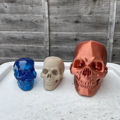 Mô Hình Hộp Sọ Người