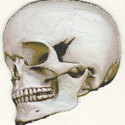 Tranh Sơn Mài Hình Đầu Lâu