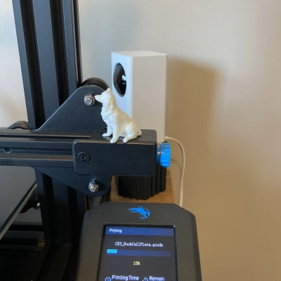 Mẫu Chó Australian Shepherd