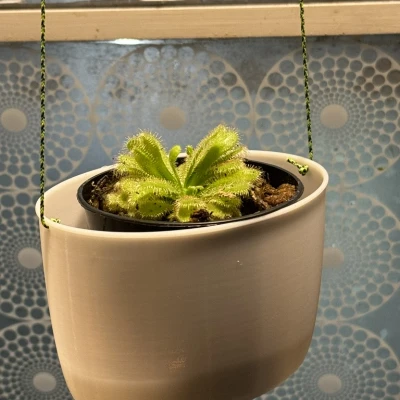 Chậu treo hai điểm