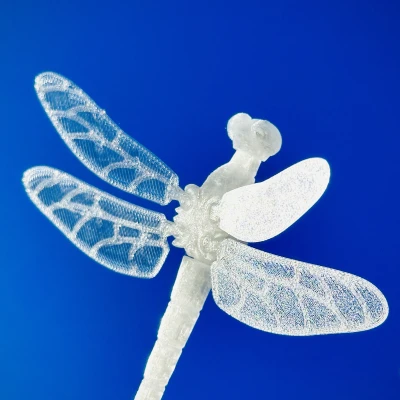 Cánh Mỏng Cho Rồng Dragonfly Voronoi