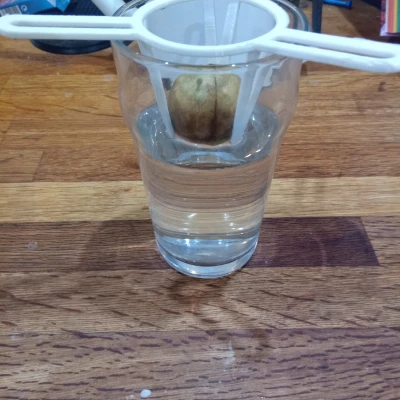 Dụng Cụ Ươm Hạt Bơ Lớn