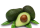 Studleyavocado_2047