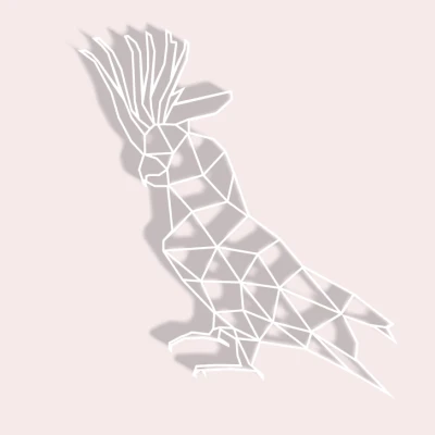 Vẹt Kakadu Hình Học