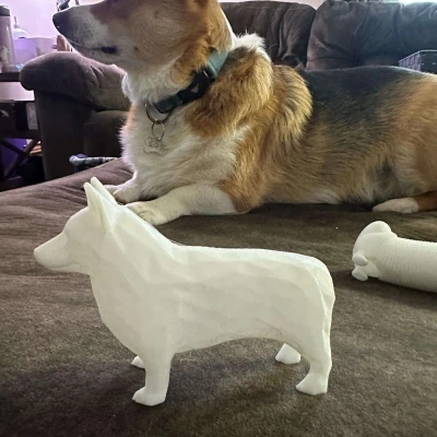 Mô Hình Corgi Tí Hon Low Poly (Không Đuôi)