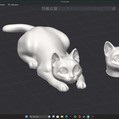 Mèo "Furia" - Tư thế sẵn sàng vồ và đầu