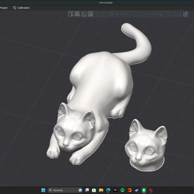Mèo "Furia" - Tư thế sẵn sàng vồ và đầu