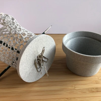 Hộp Cắm Bút Xương Rồng Voronoi