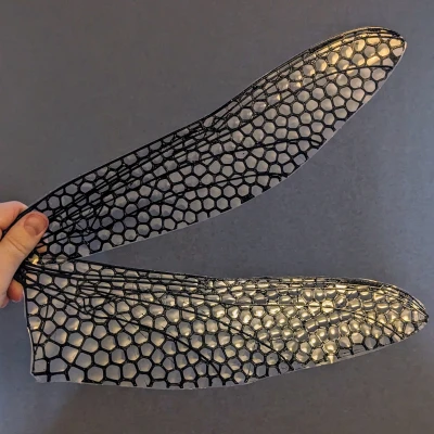 Cánh Chuồn Chuồn Sinh học - Voronoi với Gân Chính cho MAVs