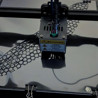 Cánh Chuồn Chuồn Sinh học - Voronoi với Gân Chính cho MAVs