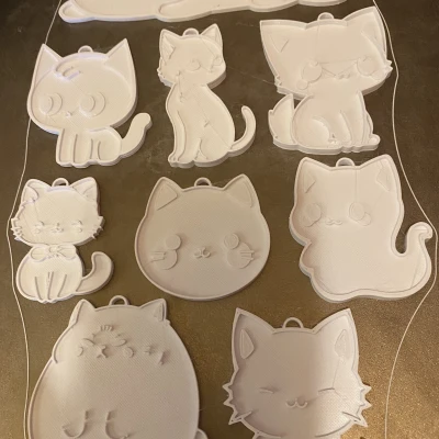 Mèo Dẹt Bự Chảng Khổng Lồ