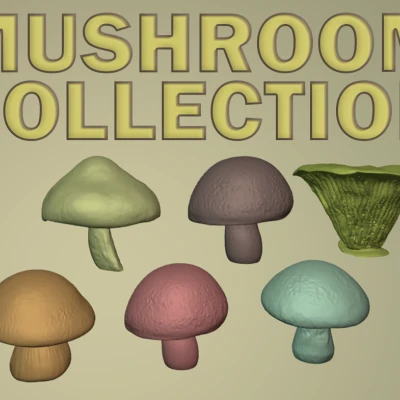 Bộ sưu tập nấm