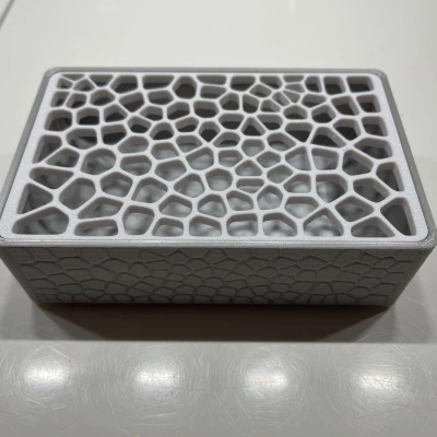 Khay Xà Bông Kiểu Voronoi