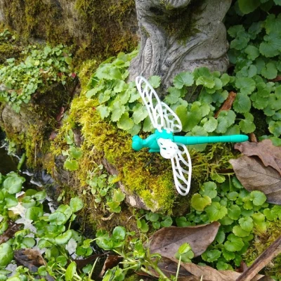 Chân cho Chuồn Chuồn Voronoi