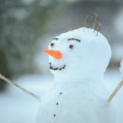 Mũi cà rốt cho người tuyết