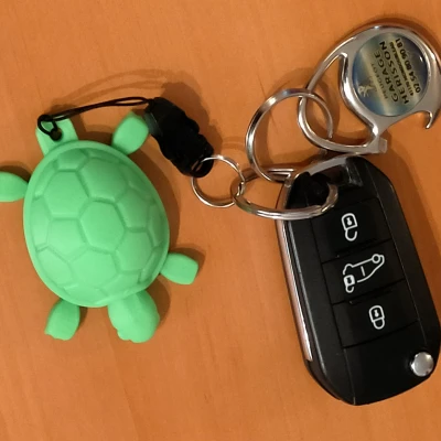 Móc Khóa Rùa "Tortue Porte-Clefs"