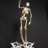 Mô hình Bộ xương Người có thể tạo dáng - Tỷ lệ 1/10 - Thumbnail 6