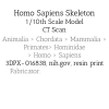 Mô hình Bộ xương Người có thể tạo dáng - Tỷ lệ 1/10 - Thumbnail 9