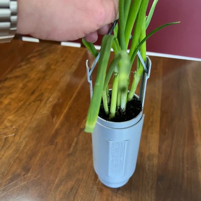 Chậu Trồng Rau Thơm & Cây Mọng Nước Để Bệ Cửa Sổ