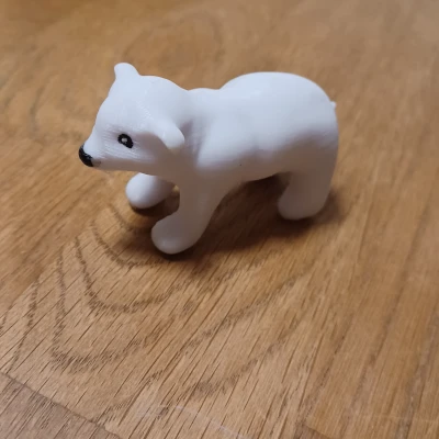 Gấu Trúc Bắc Cực