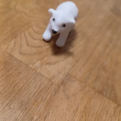 Gấu Trúc Bắc Cực