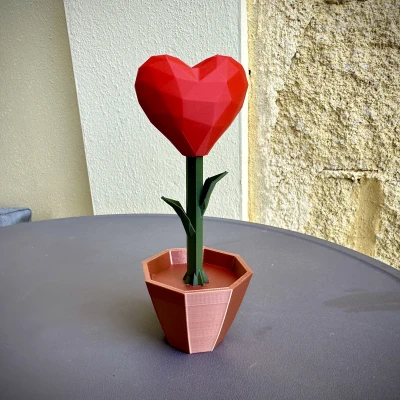 Mô hình 3D Trái Tim Nở Hoa "Heart Blooming"