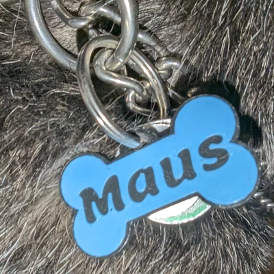 Thẻ Bài Cho Chó (Dog Tag)