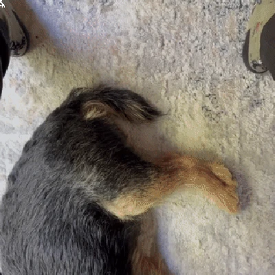 Bộ Chuyển Số Fidget Nam Châm