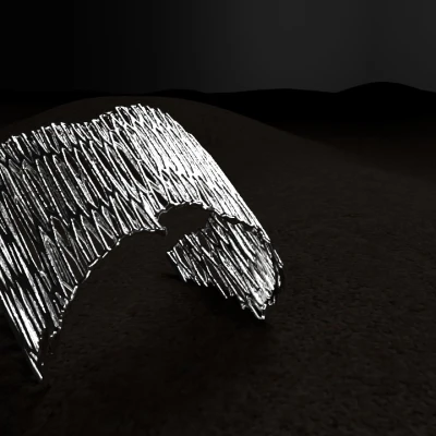 RAIZ - Trang Sức với Hoa Văn Voronoi