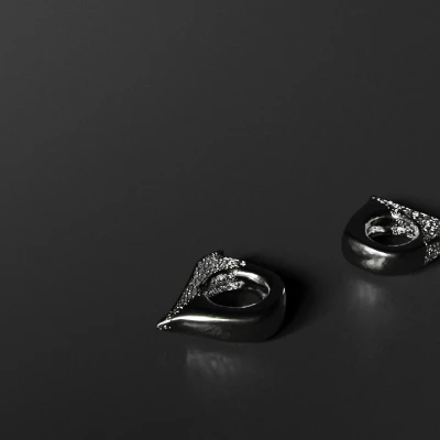 RAIZ - Trang Sức với Hoa Văn Voronoi