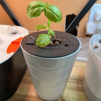 Đế Trồng Rau Thủy Canh DWC / Kratky Có Cửa Sổ Châm Nước