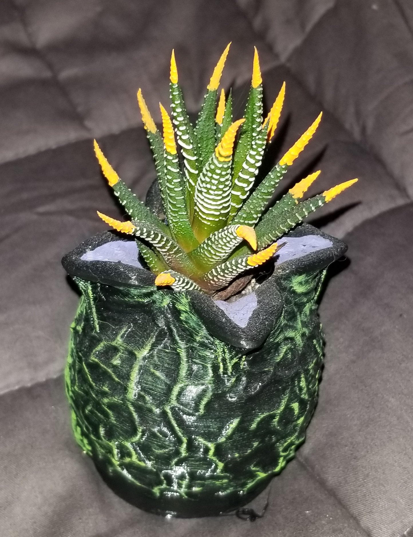 Trứng Alien (Xenomorph)