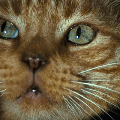 Mô hình 3D Jonesy & Xenomorph Mini