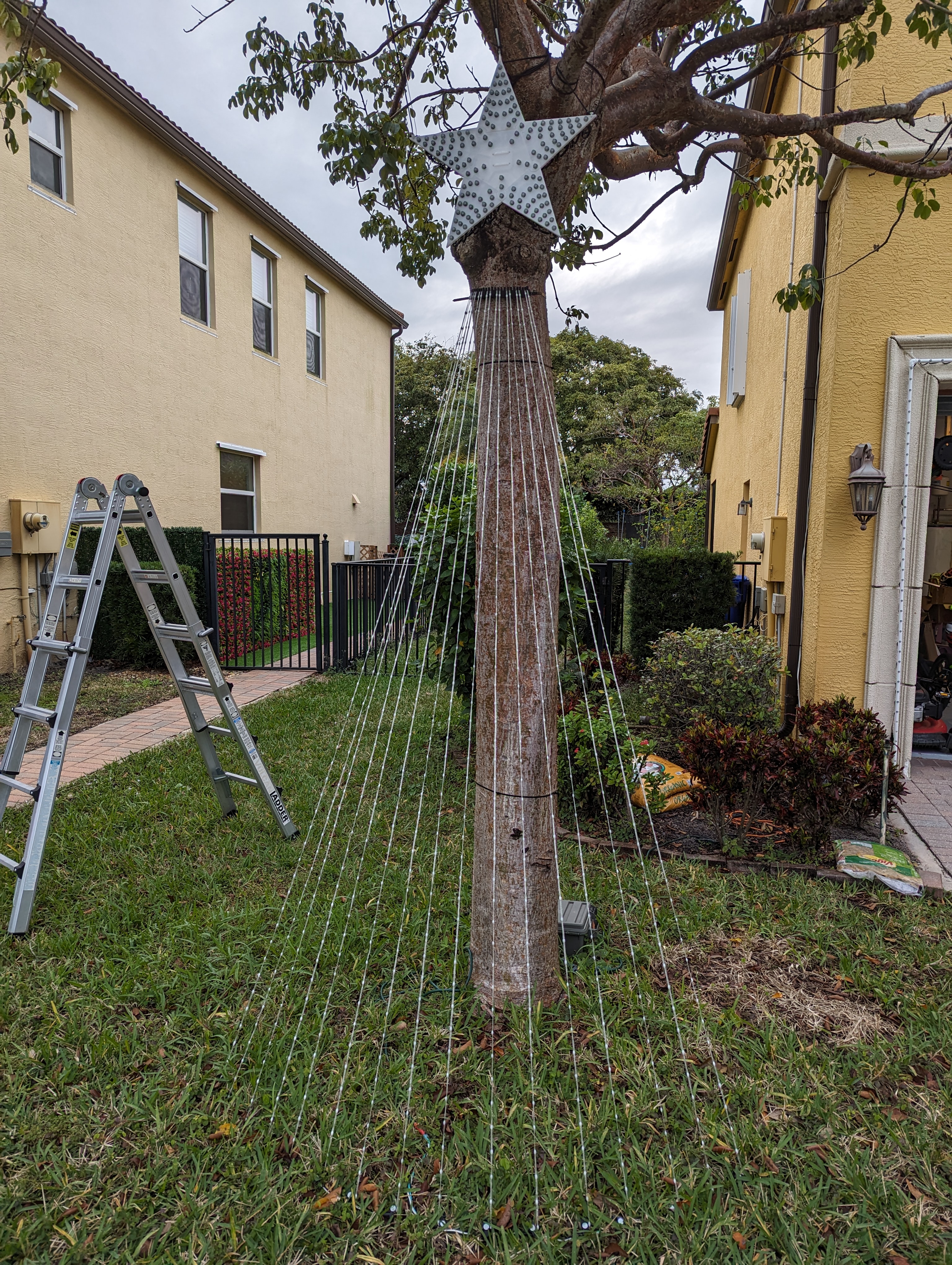 Giá đỡ thân cây Pixel Hạt giống