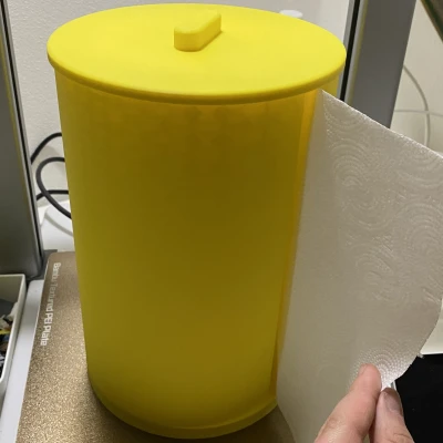 Hộp đựng giấy ăn bếp có nắp (do có con mèo)